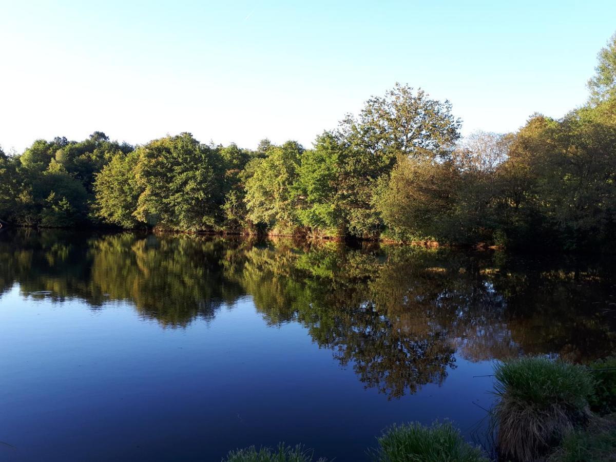 Gite De Lac Tranquille Plaud エクステリア 写真